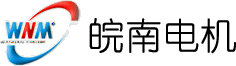 安徽皖南電機股份有限公司